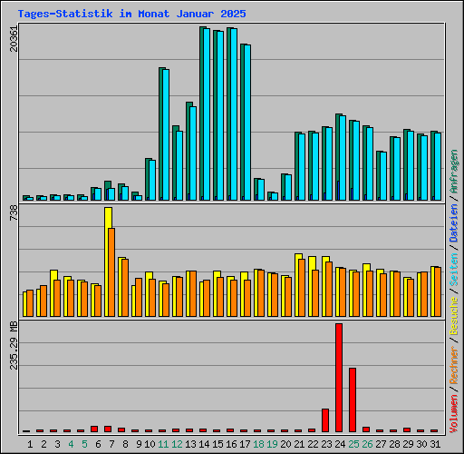 Tages-Statistik im Monat Januar 2025