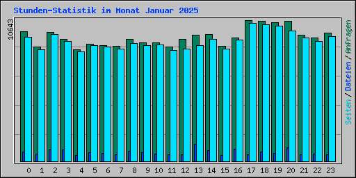 Stunden-Statistik im Monat Januar 2025