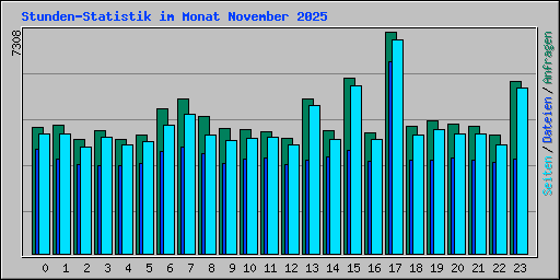 Stunden-Statistik im Monat November 2025