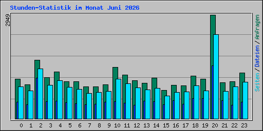 Stunden-Statistik im Monat Juni 2026