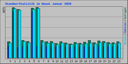 Stunden-Statistik im Monat Januar 2026