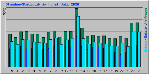 Stunden-Statistik im Monat Juli 2026