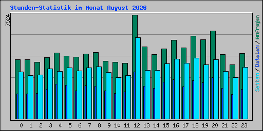 Stunden-Statistik im Monat August 2026